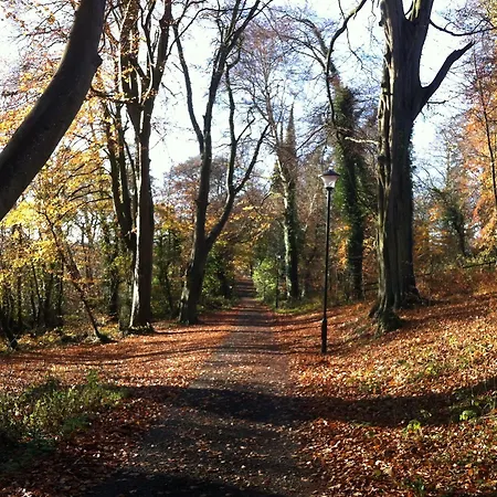 Nuremore & Country Club 酒店 卡里克马克罗斯