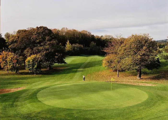 מלון Nuremore & Country Club